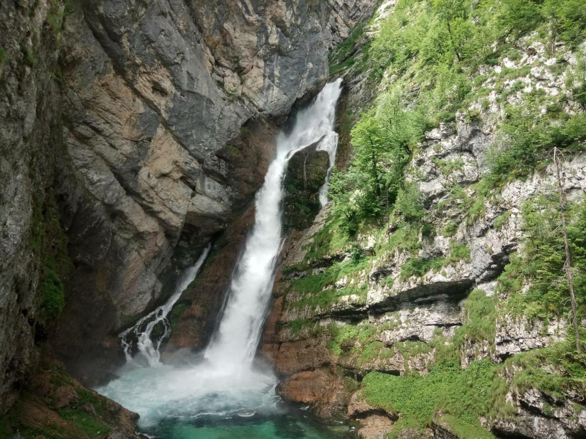 Hostel House Budkovič Bohinj Exteriér fotografie